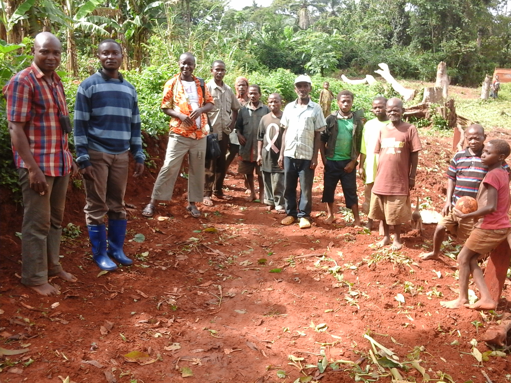 Rassemblement en forêt